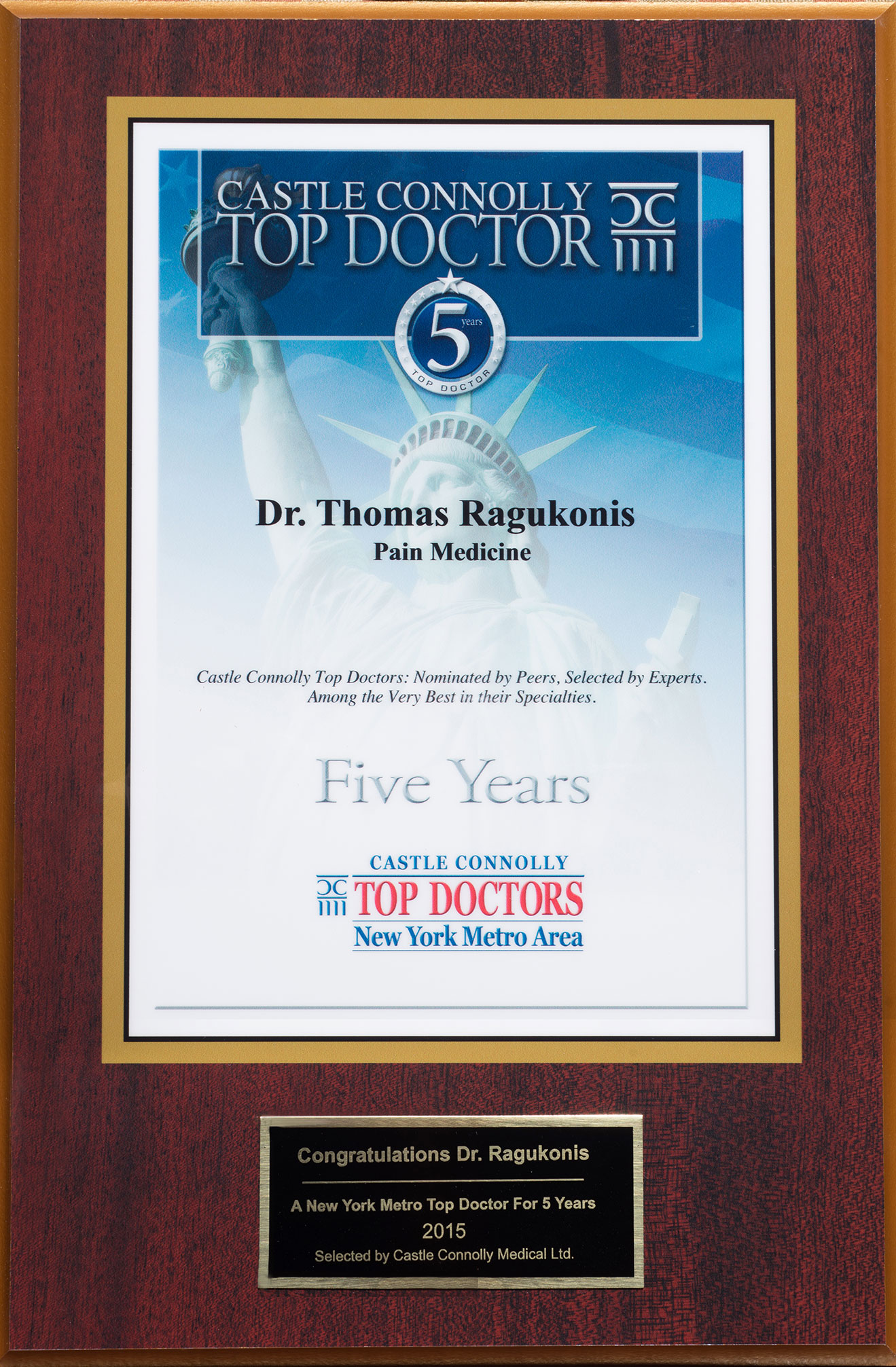 Castle ConnollyTop Doctor 2015